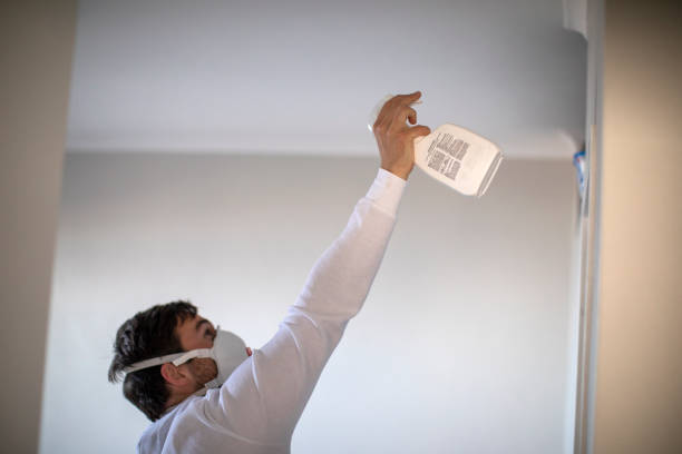 Mold Testing and Removal in Baxter, MN