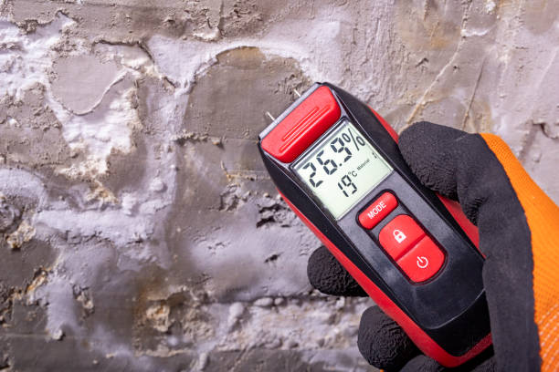 Best Toxic Mold Removal  in Baxter, MN
