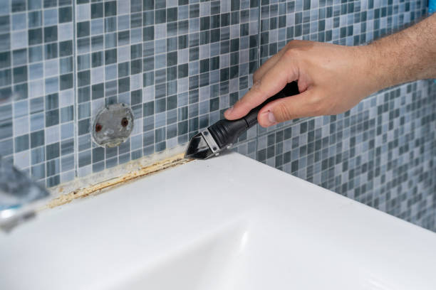 Best Toxic Mold Removal  in Baxter, MN